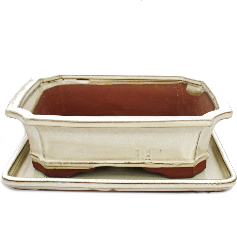 Bonsai-Schale mit Untersetzer, Größe 4 – rechteckig, G4 – hellbeige – L 26 cm – B 20 cm – H 8 cm