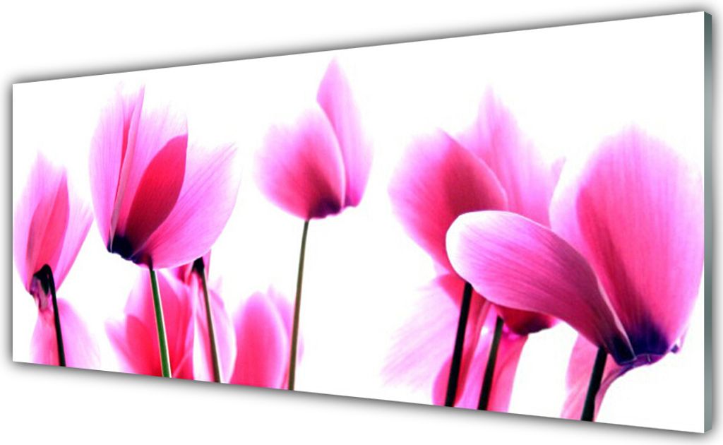 Glasbilder 125x50 Wandbild Druck auf Glas Blumen Pflanzen