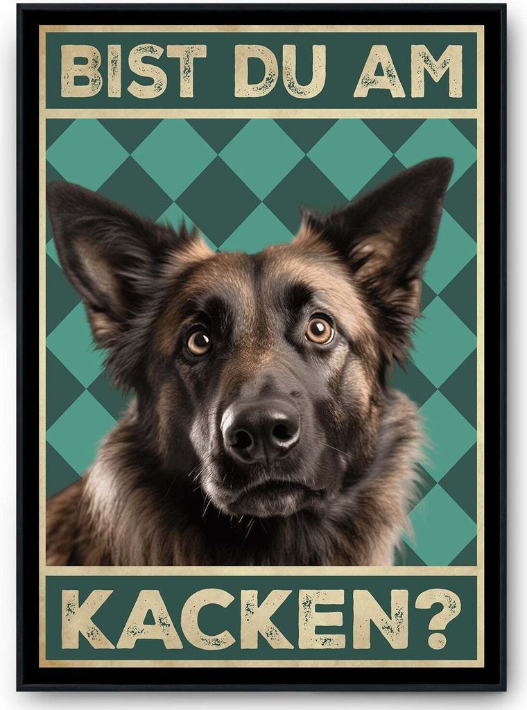 Belgischer Schäferhund - Bist du am Kacken? Hunde Poster Badezimmer Gästebad Wandbild Klo Toilette Dekoration Lustiges Gäste-WC Bild DIN A4 – ...