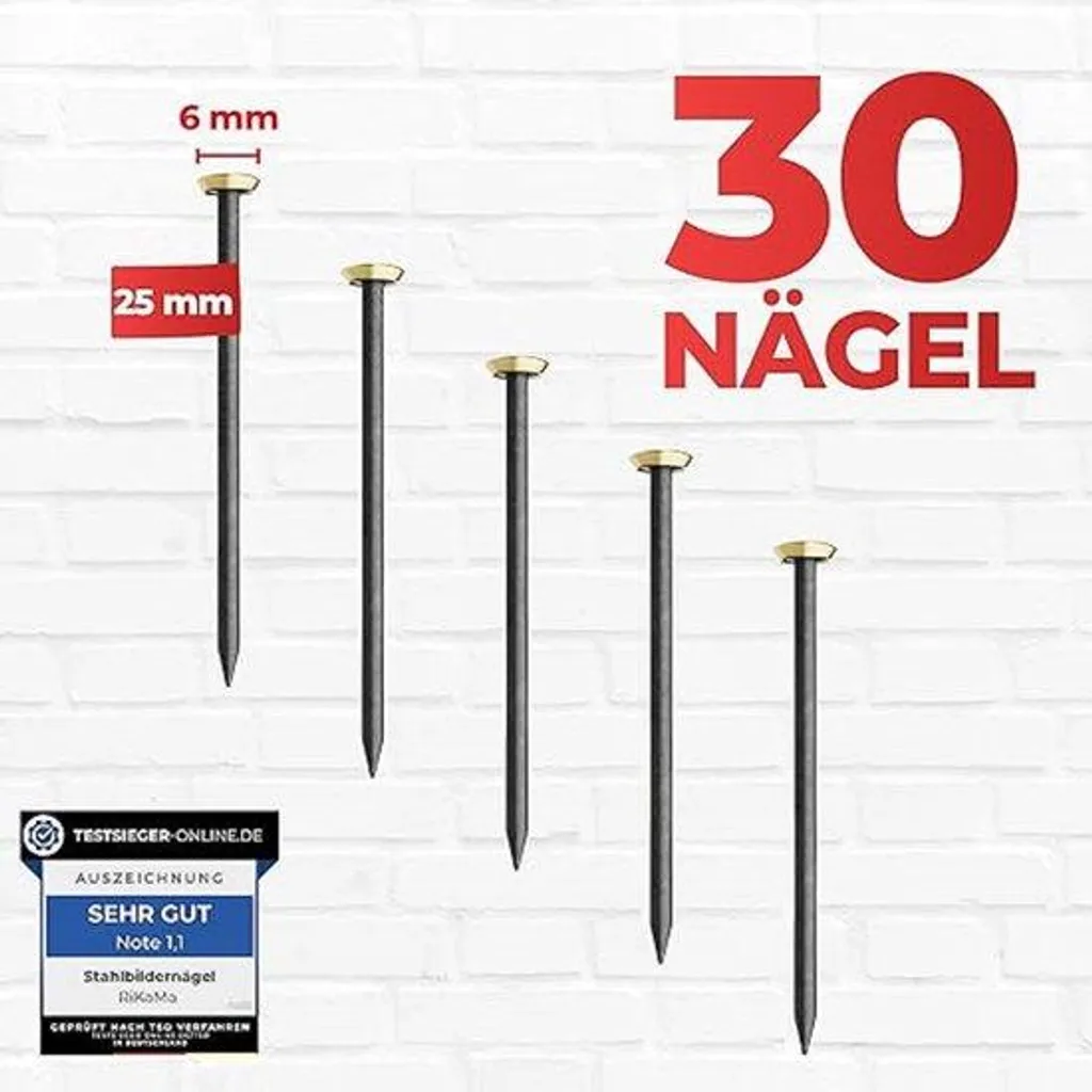 Clous de mur à tête plate robustes en kit de 30 pour bois et bricolage