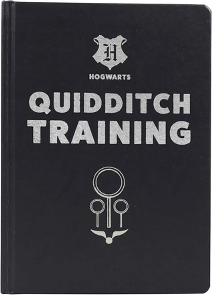 Équipement de Quidditch Harry Potter pour Décoration et Cosplay Sorcier