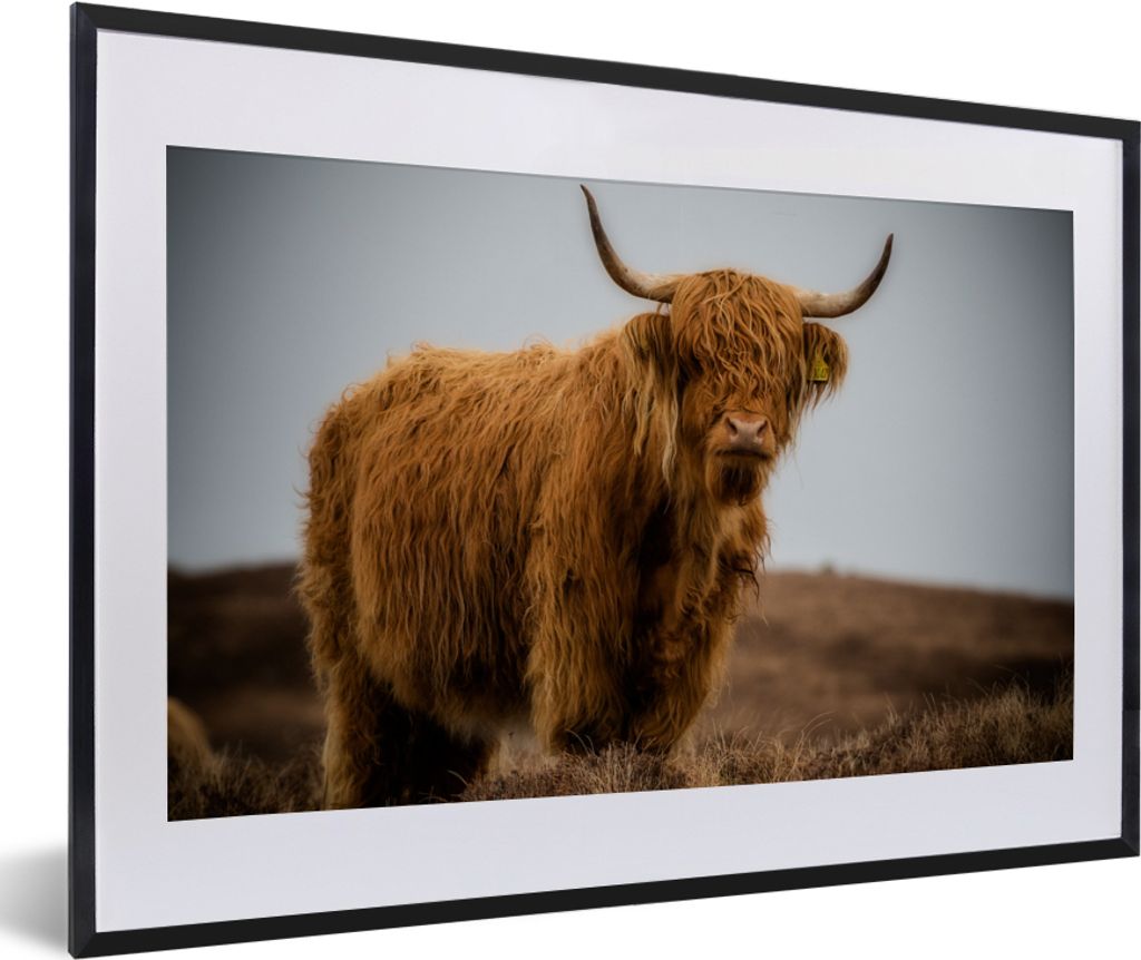 MuchoWow Gerahmtes Poster Schottischer Highlander - Düne - Gras 60x40 cm - Poster mit Schwarzem Bilderrahmen Wandposter Rahmen Foto Bilder - Sch...