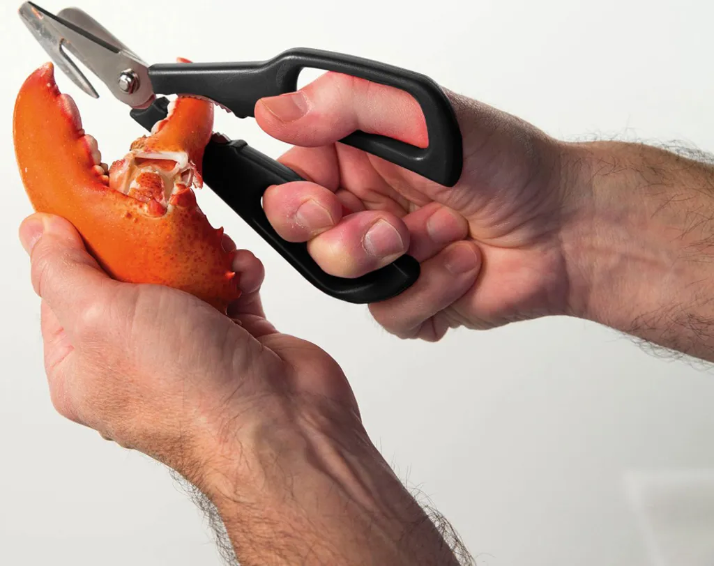 Ciseaux de cuisine haute qualité pour mollusques à coupe inversée 18cm - 13