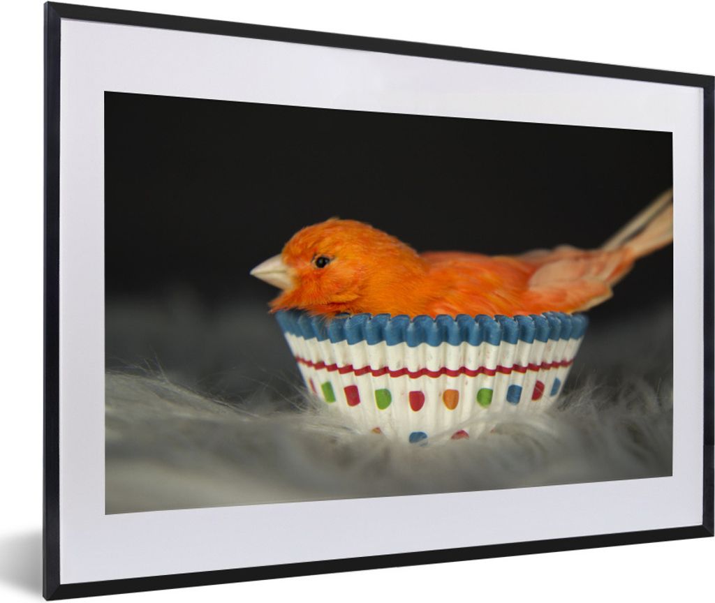 MuchoWow Gerahmtes Poster Vogel - Muffinförmchen - Portrait 60x40 cm - Poster mit Schwarzem Bilderrahmen Wandposter Rahmen Foto Bilder