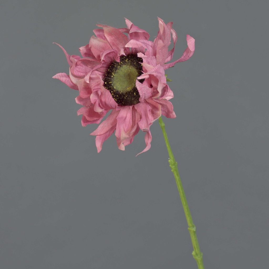 artplants.de Künstliche Blume Sonnenblume Janika, pink, 60cm, Ø 12cm