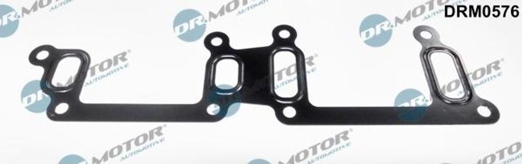 DR.MOTOR AUTOMOTIVE Dichtung Kühlmittelrohr DRM0576 für FORD RANGER (TKE)