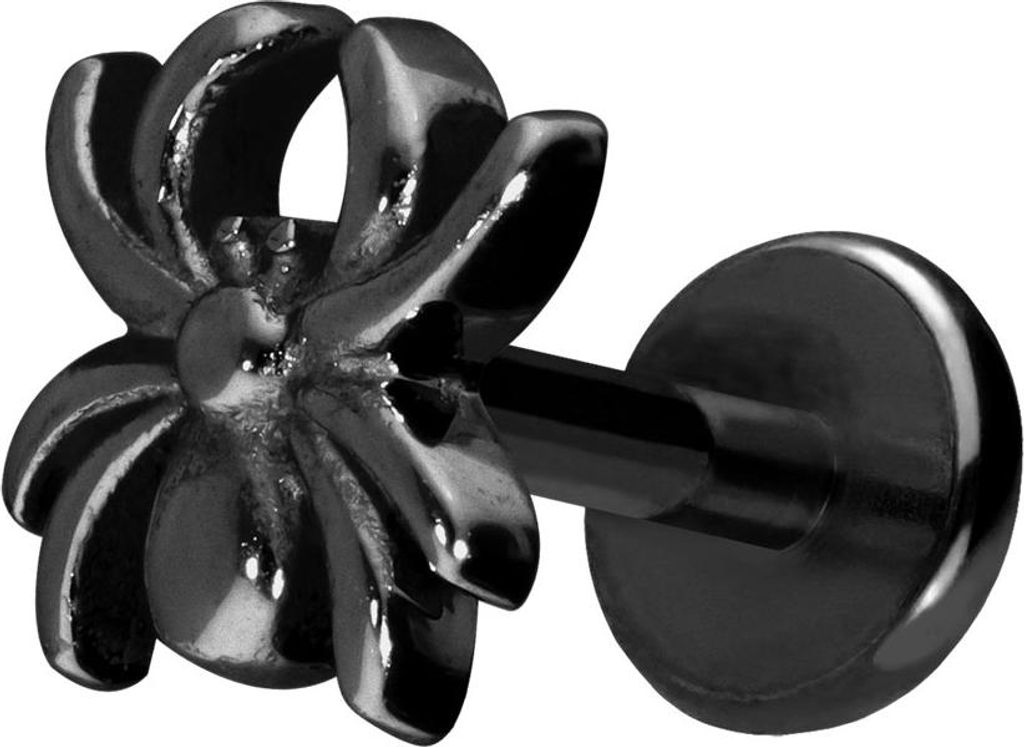 Ohrpiercing, Nasenpiercing Titan Labret mit Push Fit SPINNE Schwarz Stablänge: 8mm | Stabstärke: 1mm