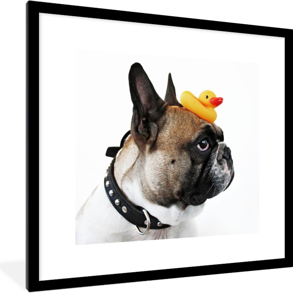 MuchoWow Gerahmtes Poster Gummi-Ente - Hund - weiß 40x40 cm - Poster mit Schwarzem Bilderrahmen Wandposter Rahmen Foto Bilder - Poster - Plakat ...