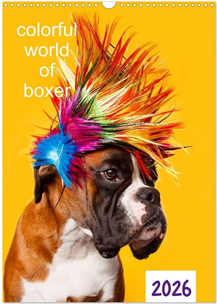 colorful world of boxer 2026 (Wandkalender 2026 DIN A3 hoch), CALVENDO Monatskalender
