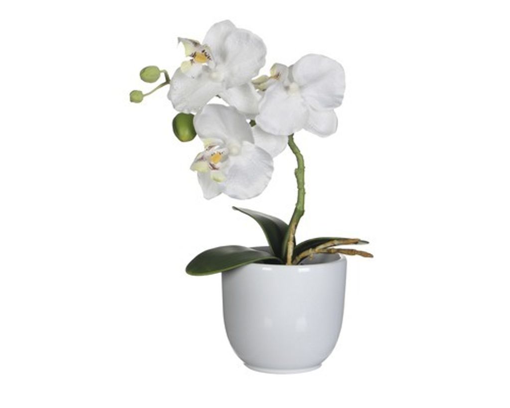 Mica Kunstpflanze Phalaenopsis im Topf weiß, 26 x 12 cm Produktbild 