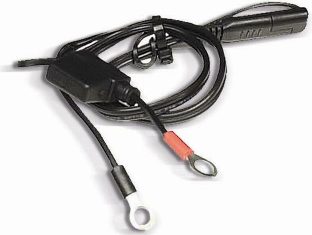 BS BATTERY  PA-01 Kabel mit Ringanschlussklemmen Produktbild 