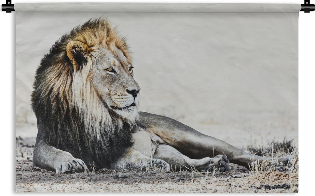 MuchoWow Wandteppich Wandbehang Illustration - Löwen - Farbe 90x60 cm Tapisserie Dekoration Wandtuch - Wandskulpturen - Bildteppich