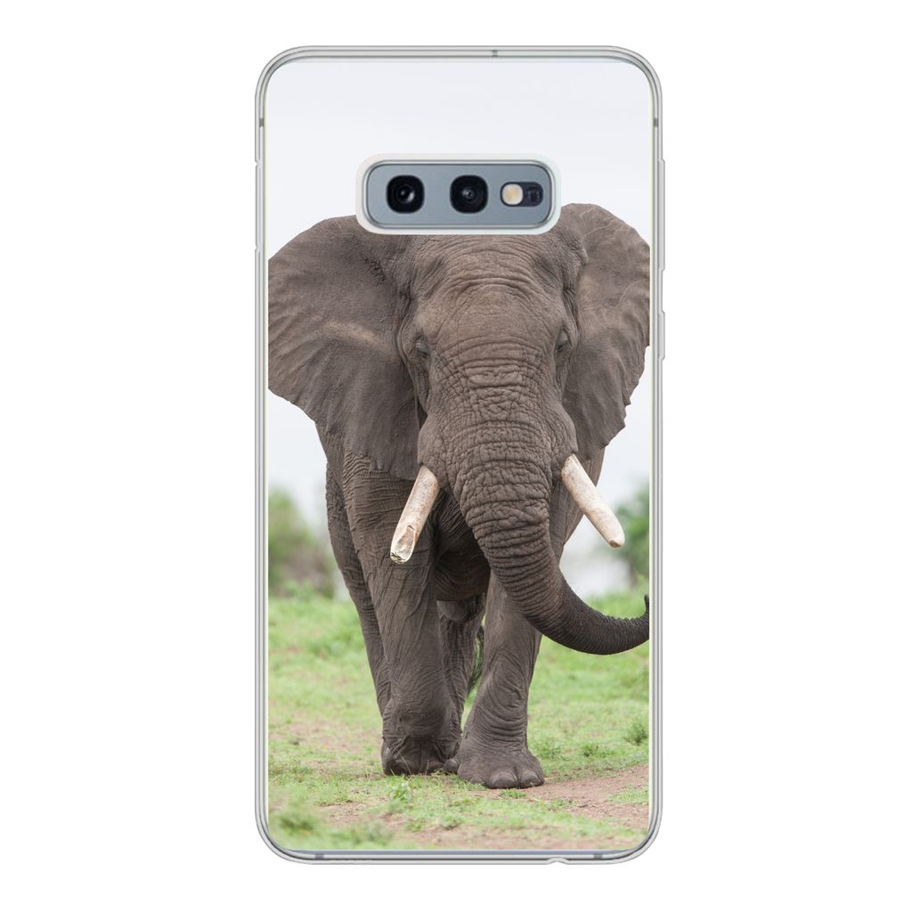 MuchoWow Handyhülle Schutzhülle Hülle für Samsung Galaxy S10e Elefant - Tiere - Gras - Natur Silikon Softcase Handy Hülle - Handy