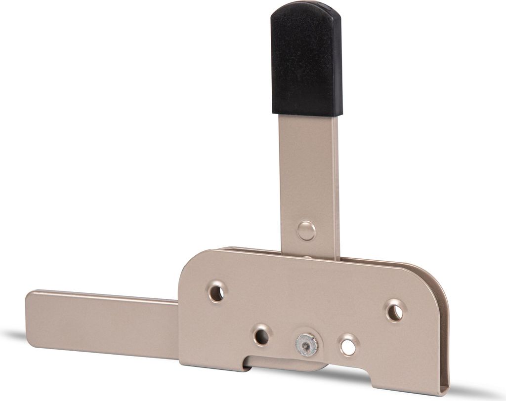 Alberts 822606 DURAVIS Gartentorfalle, speziell für schmale Rahmenhölzer, schwarzdiamant duplexbeschichtet, Platte 120 x 50 mm, 5er Set