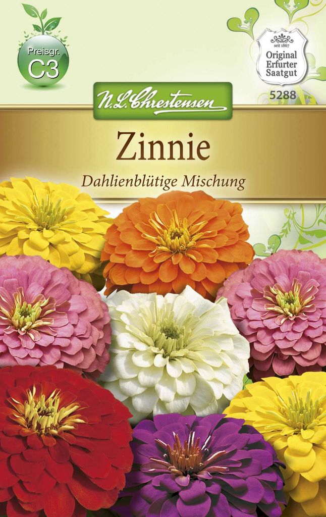Zinnie Dahlienblütige Mischung | Zinniensamen von N.L. Chrestensen
