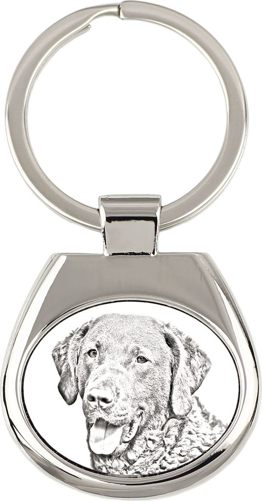 Chesapeake Bay Retriever - Schlüsselanhänger mit Hund, Anhänger mit Aufdruck, personalisierter Anhänger der Marke Art-Dog