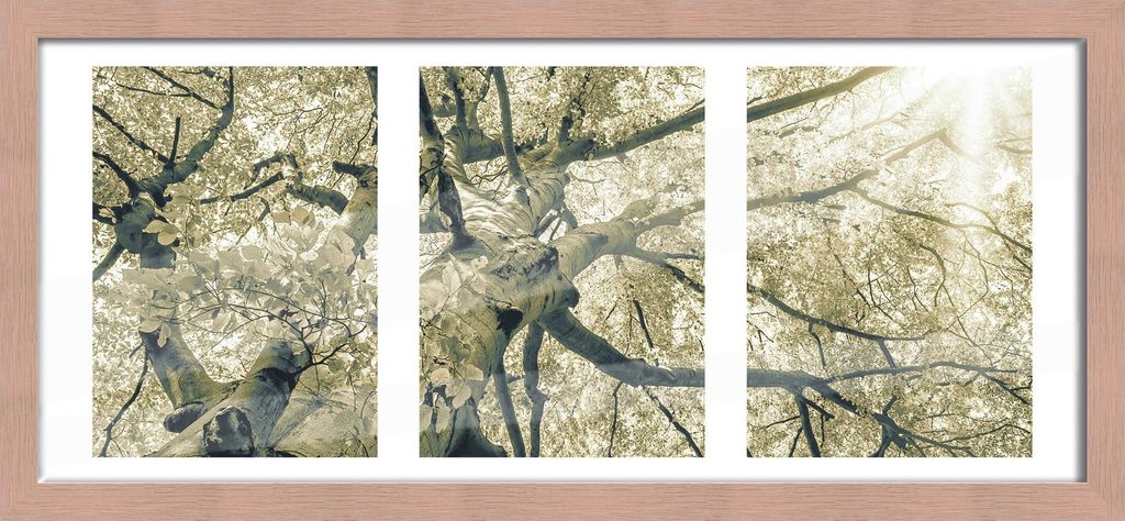 Bilderrahmen Holz Luzern duplo eiche 23 x 50 cm