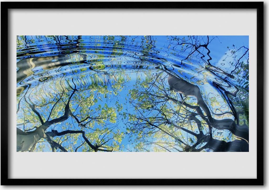 Bild 100x70 MDF-Rahmen Wandkunst Wasser Bäume Natur-Kunst