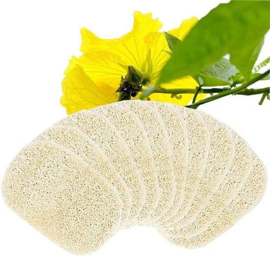 Natürliche Luffa-Schwämme 8 x 13 cm - 10 Stück mit Seifenbecher für Dusche, Bad, Küche - Beige Accessoires