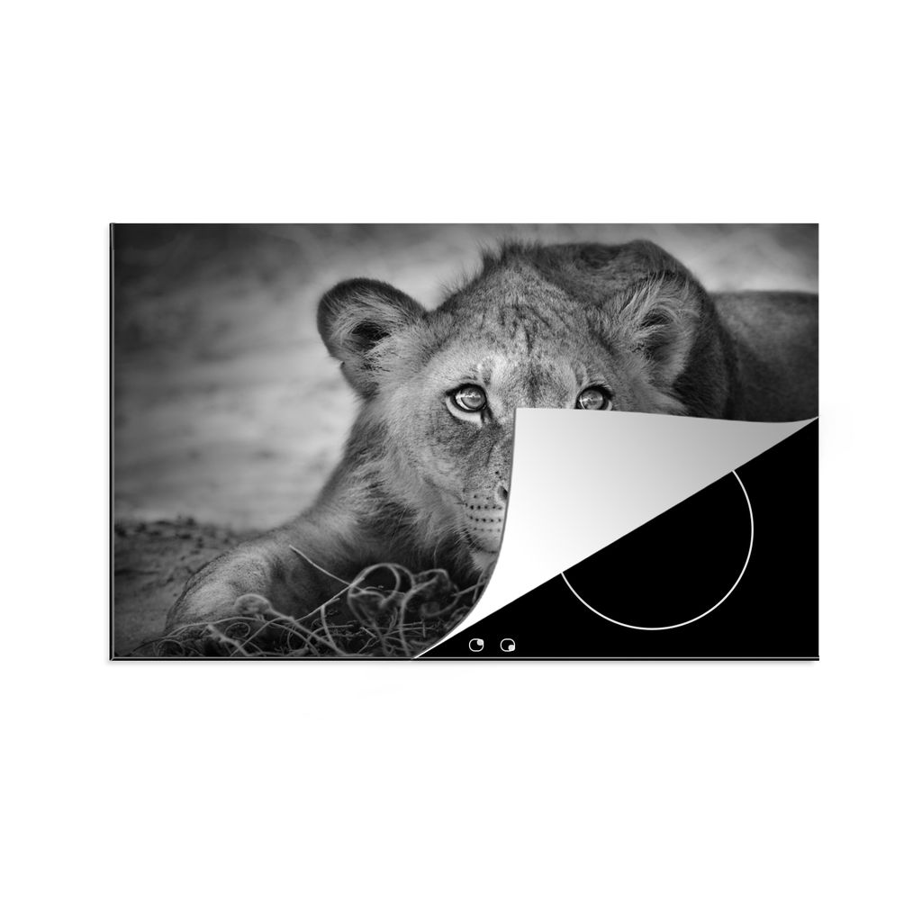 KitchenYeah Herdabdeckplatte Wildtiere - Löwe - Natur - Schwarz - Weiß , 81x52cm, Küche Deko, Glaskeramikkochfeld Herdabdeckung, Abdeckplatte ...