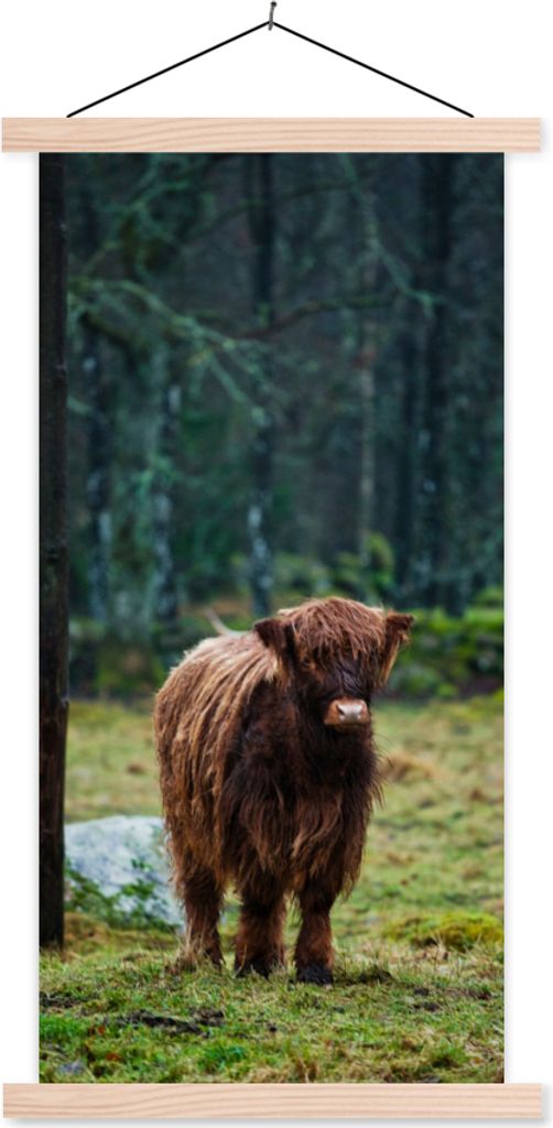 MuchoWow Textilposter Schottisches Hochlandrind - Wald - Moos 40x80 cm mit holzfarbenen Rahmen - Wohnzimmer