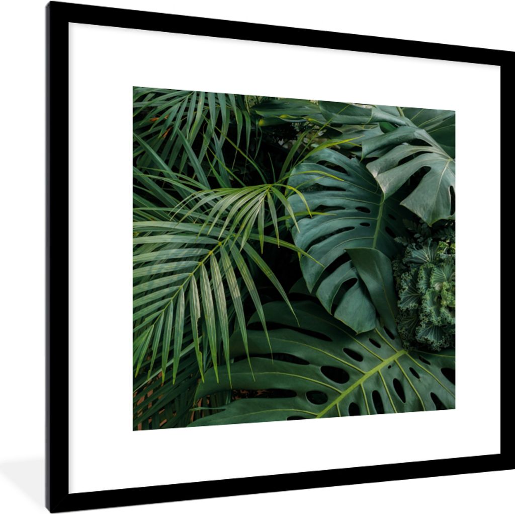 MuchoWow Gerahmtes Poster Pflanzen - Dschungel - Blätter - Tropisch 40x40 cm - Poster mit Schwarzem Bilderrahmen Wandposter Rahmen Foto Bilder -...