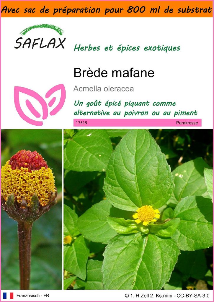 SAFLAX Garden in the bag - Brède mafane - 500 graines - Image du produit 