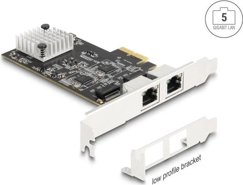 Carte réseau PCI Express Delock double port RJ45 5G pour PC et serveur