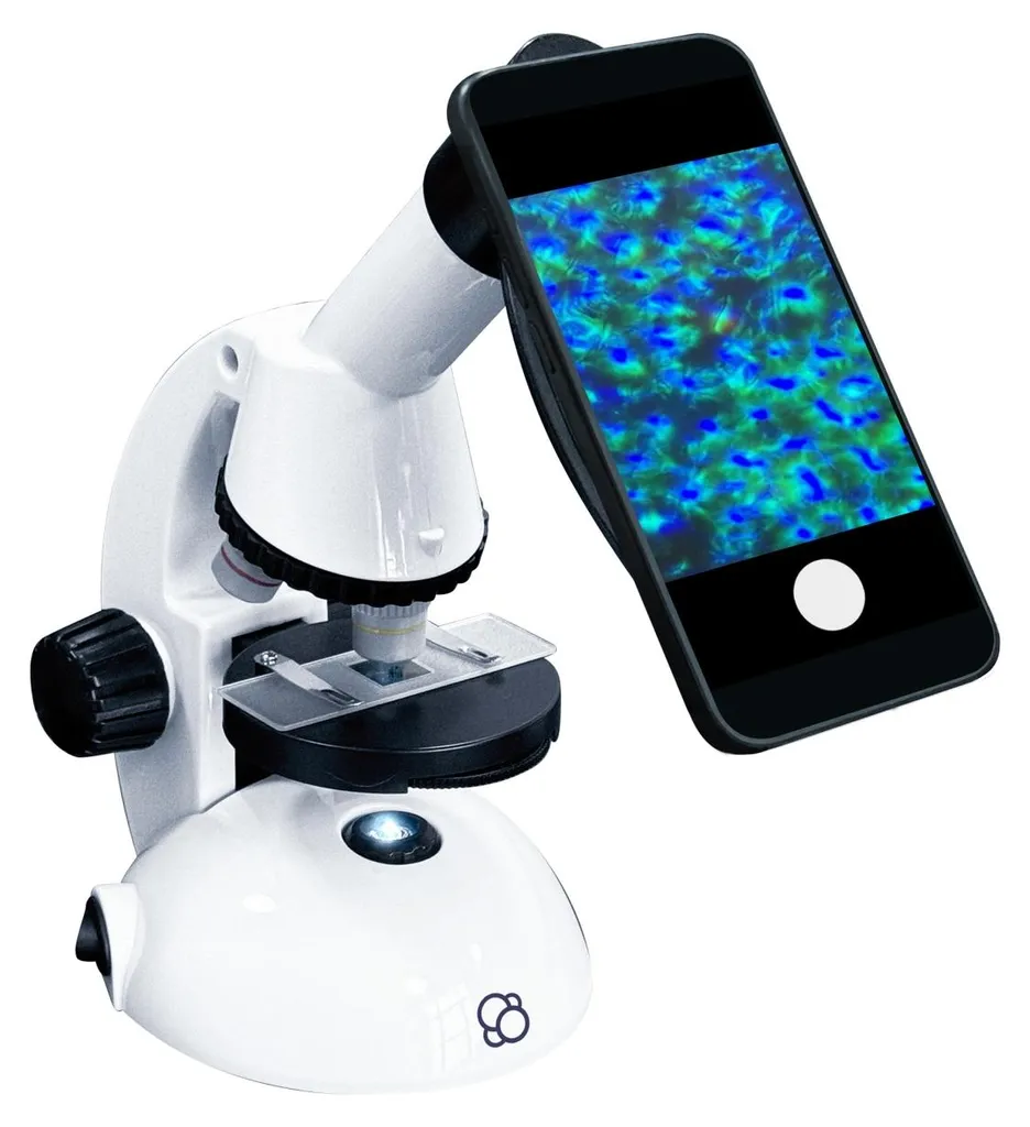 Kit Microscope STEM pour Découverte Biologie et Observation Smartphone
