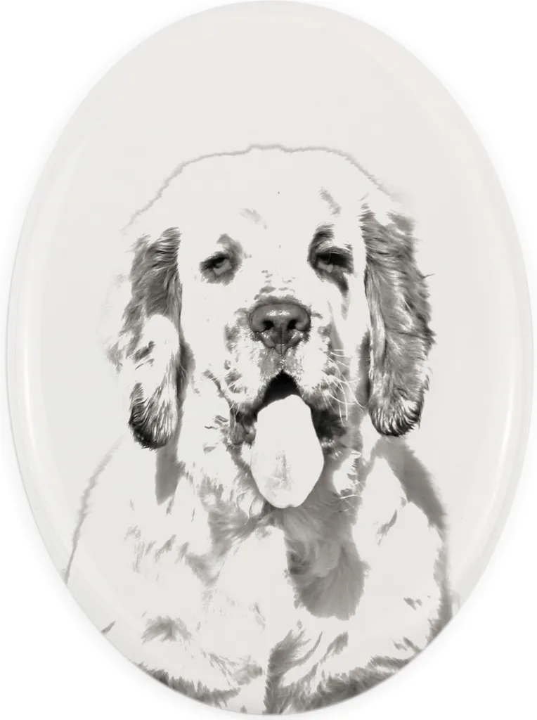 Targa Commemorativa Clumber Spaniel Art-Dog | Lapide Ceramica Ovale