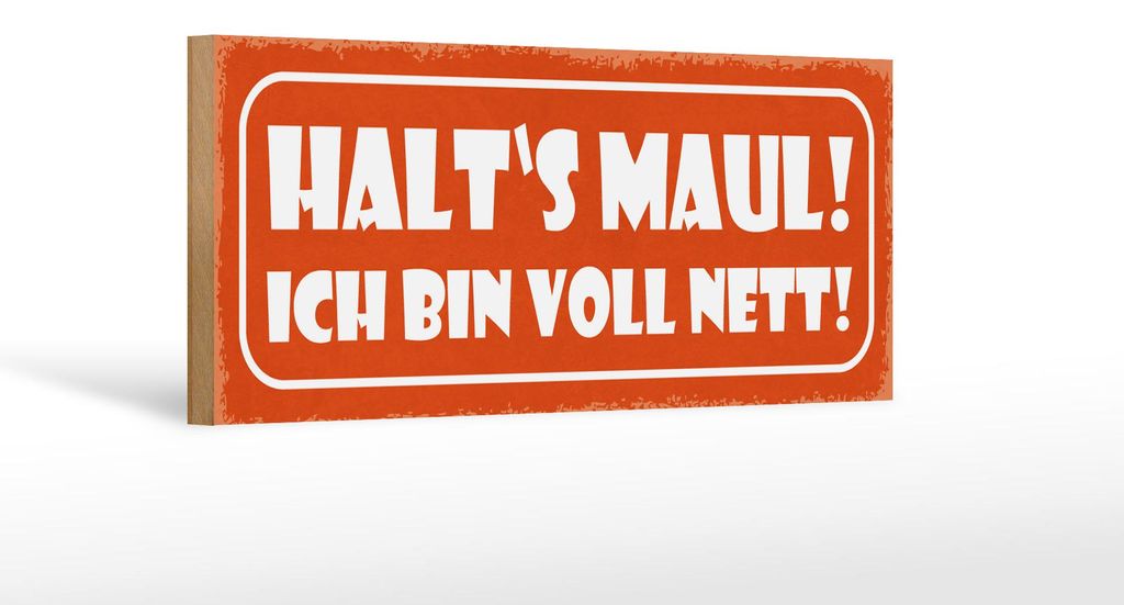 Holzschild Spruch 27x10cm halt`s Maul ich bin voll nett