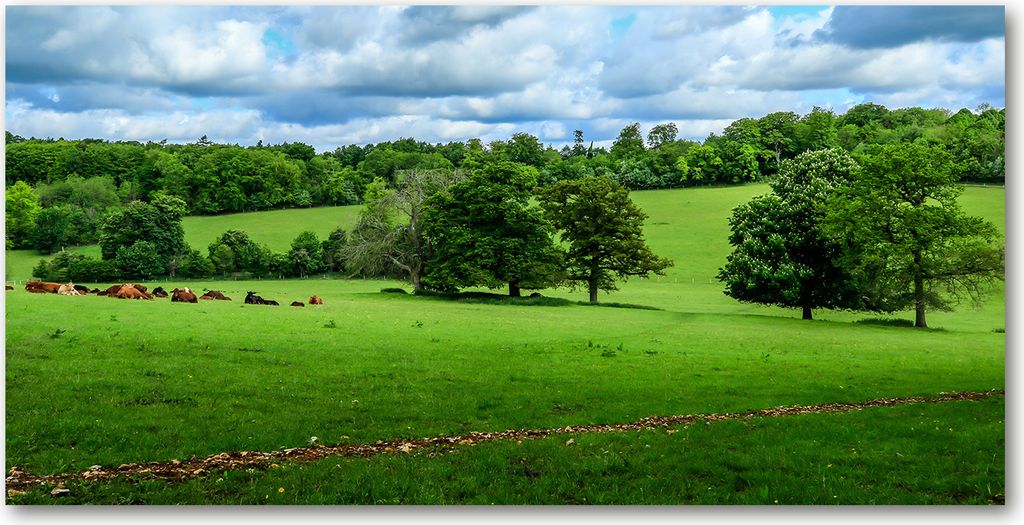 Tulup Leinwandbild - 140x70 cm - Wandkunst - Drucke auf Leinwand - Leinwanddruck - Landschaften - Grün - Grüne Hügel