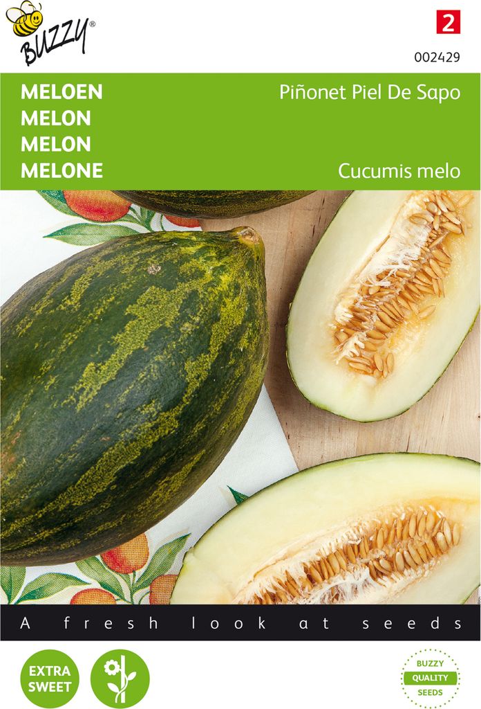 Melone Piñonet Piel De Sapo | Melonensamen von Buzzy Seeds