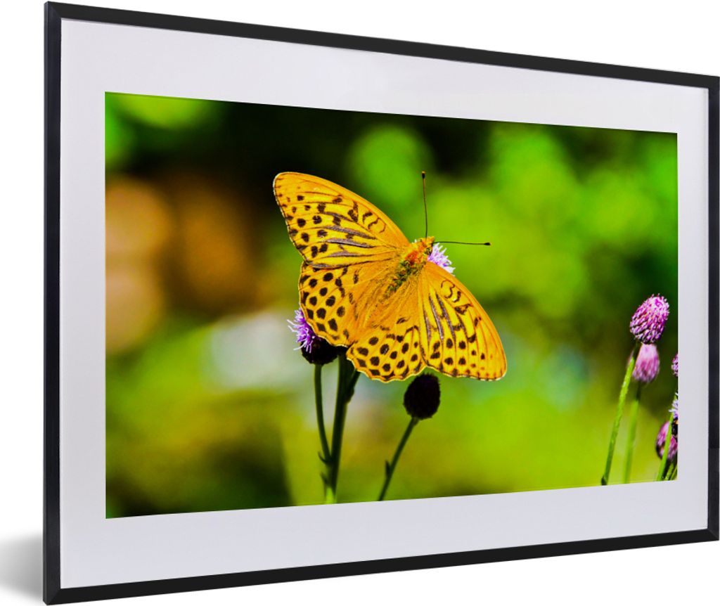MuchoWow Gerahmtes Poster Schmetterling - Tiger - Blume 60x40 cm - Poster mit Schwarzem Bilderrahmen Wandposter Rahmen Foto Bilder - Schlafzimmer...