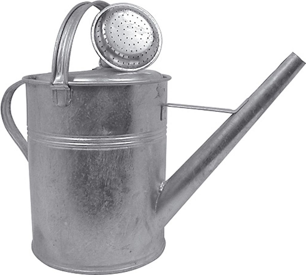 PROREGAL Verzinkte Gießkanne 9 Liter mit Brauseaufsatz