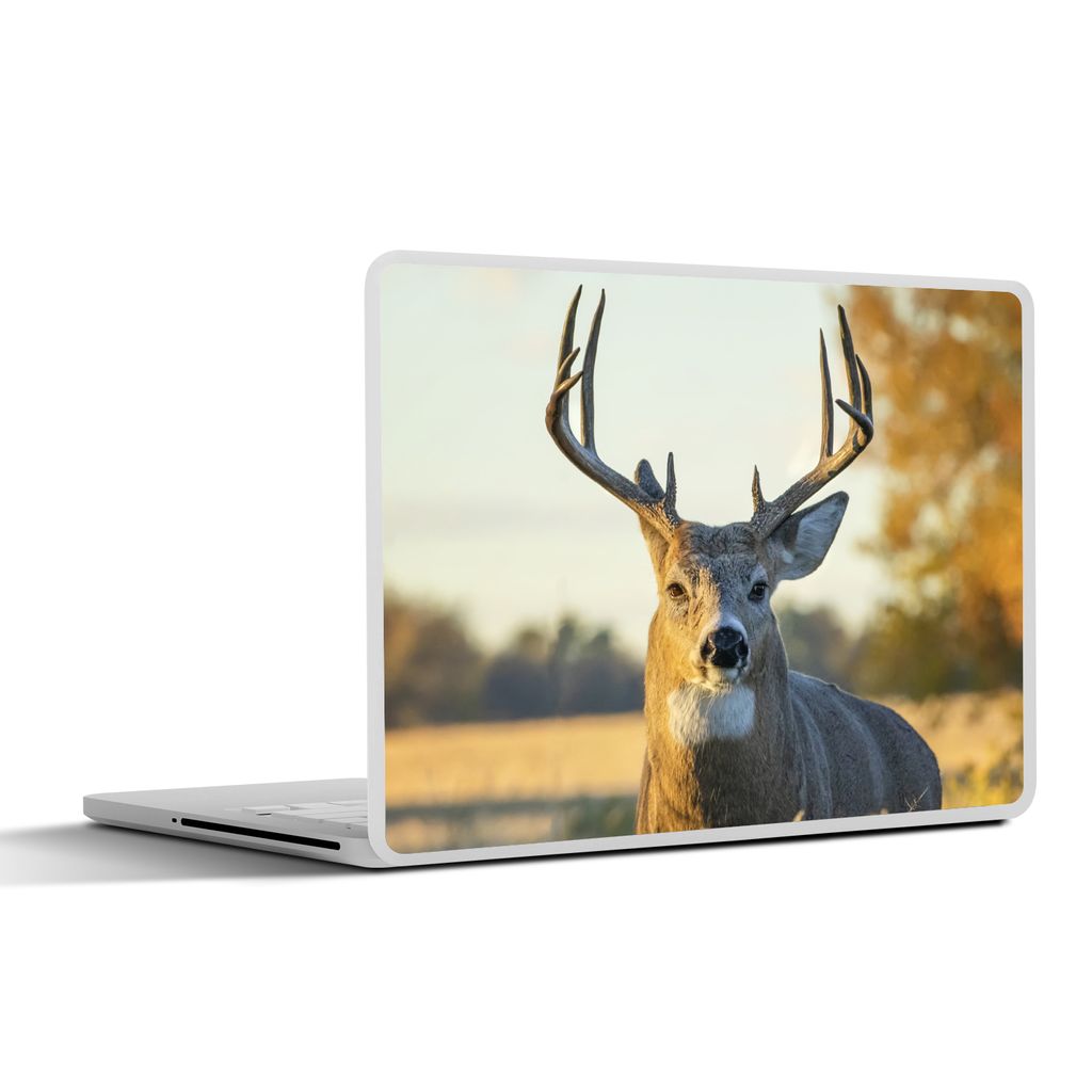 MuchoWow Laptop Aufkleber Sticker Cover Hirsche - Gras - Herbst - Geweih - Natur - Tiere 30x22 cm - Laptop-Sticker