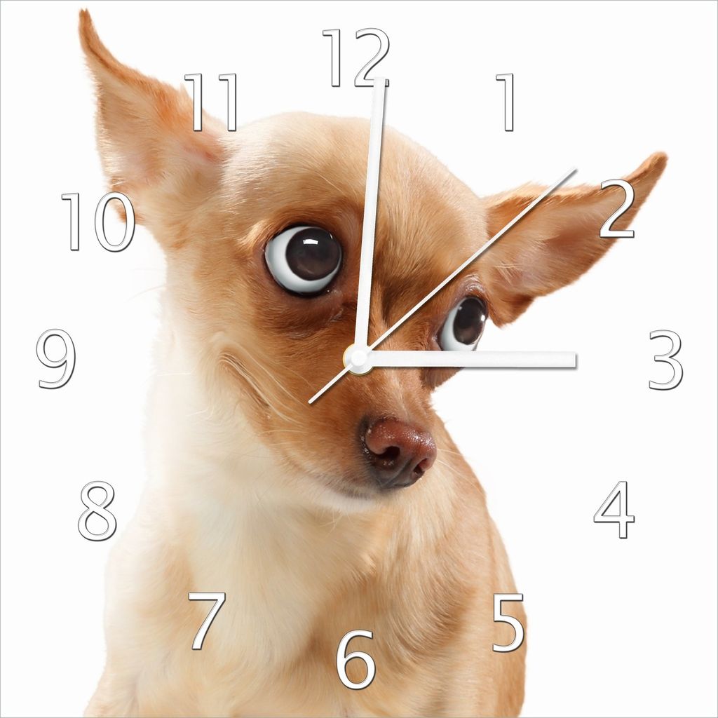 Wallario Design Wanduhr Lustiger Hund mit fliegenden Ohren aus Echtglas, Größe 30 x 30 cm