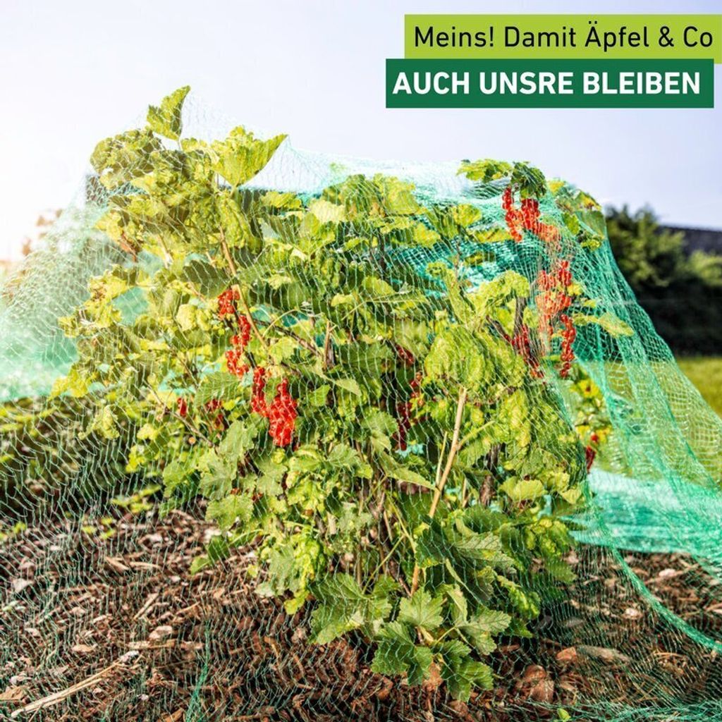 Vogelschutznetz grün 8x8 m