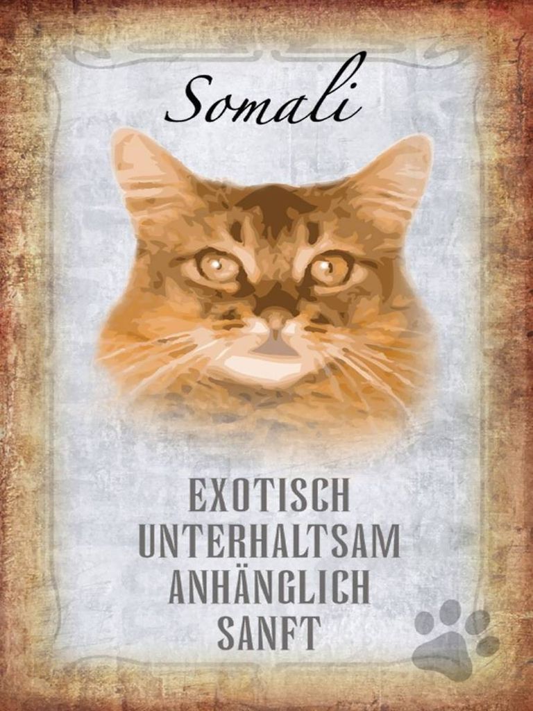 vianmo Holzschild 40x30 cm Somali Katze