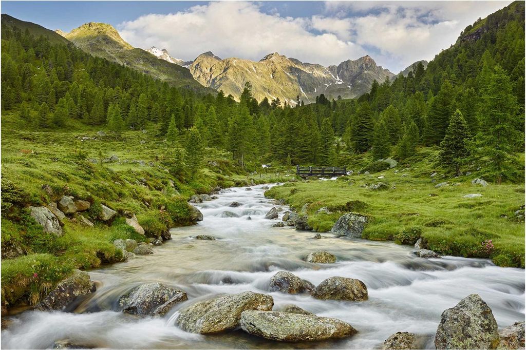 Fototapete Wald - Vliestapete - Bildtapete UV-beständig Berg grün Motiv Wandtapete geruchsfrei