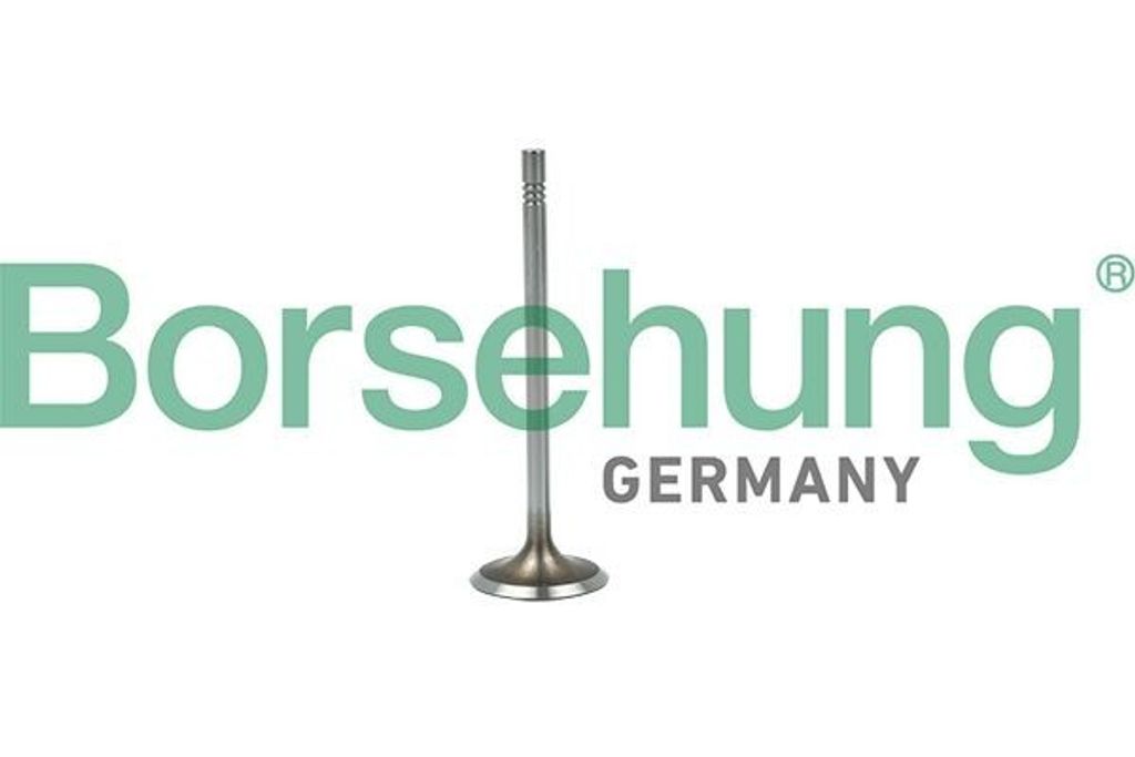 Borsehung B19015 Einlassventil für VW Golf VII Schrägheck (5G1, BQ1, BE1, BE2)