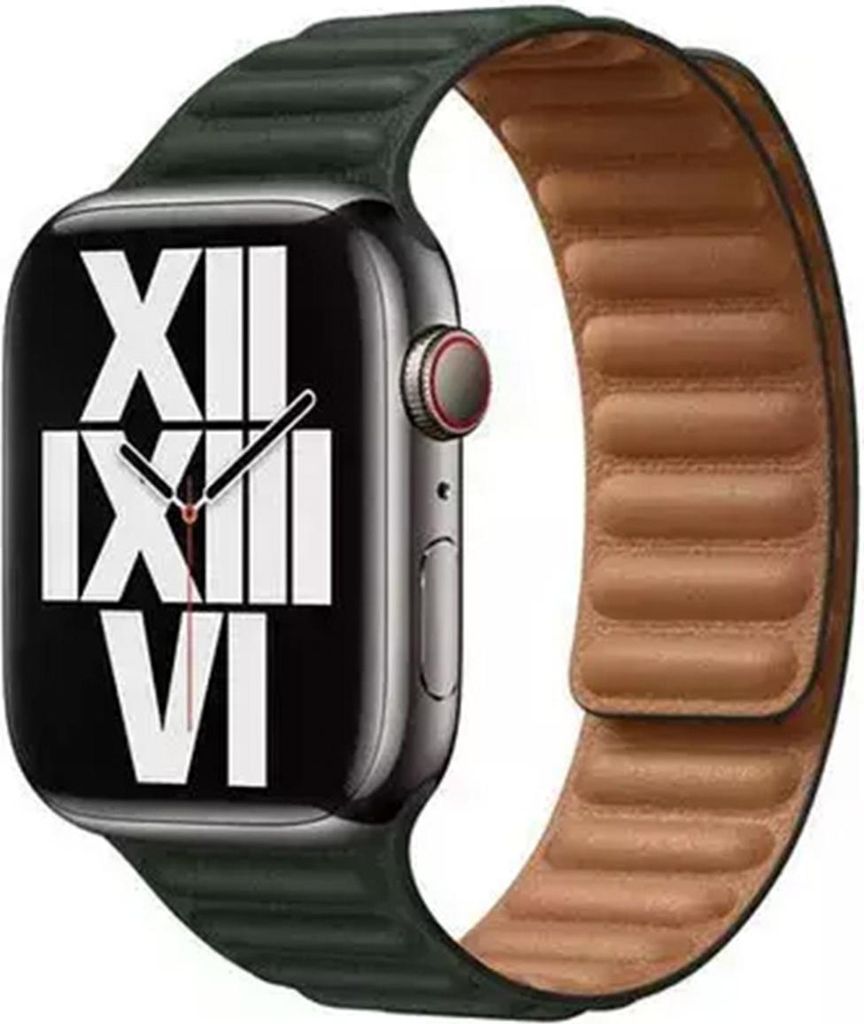 Bracelet Apple Leather Link pour Apple Watch | 44/45/46/49 Image du produit 