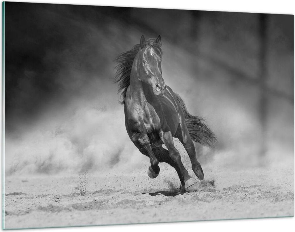 Bilder auf glas - Einteilig - Pferd Galopp dynamisch - 120x80cm - Glasbilder - Wandbilder - Bilder - zum Aufhängen bereit - Wanddekoration aus Gla...