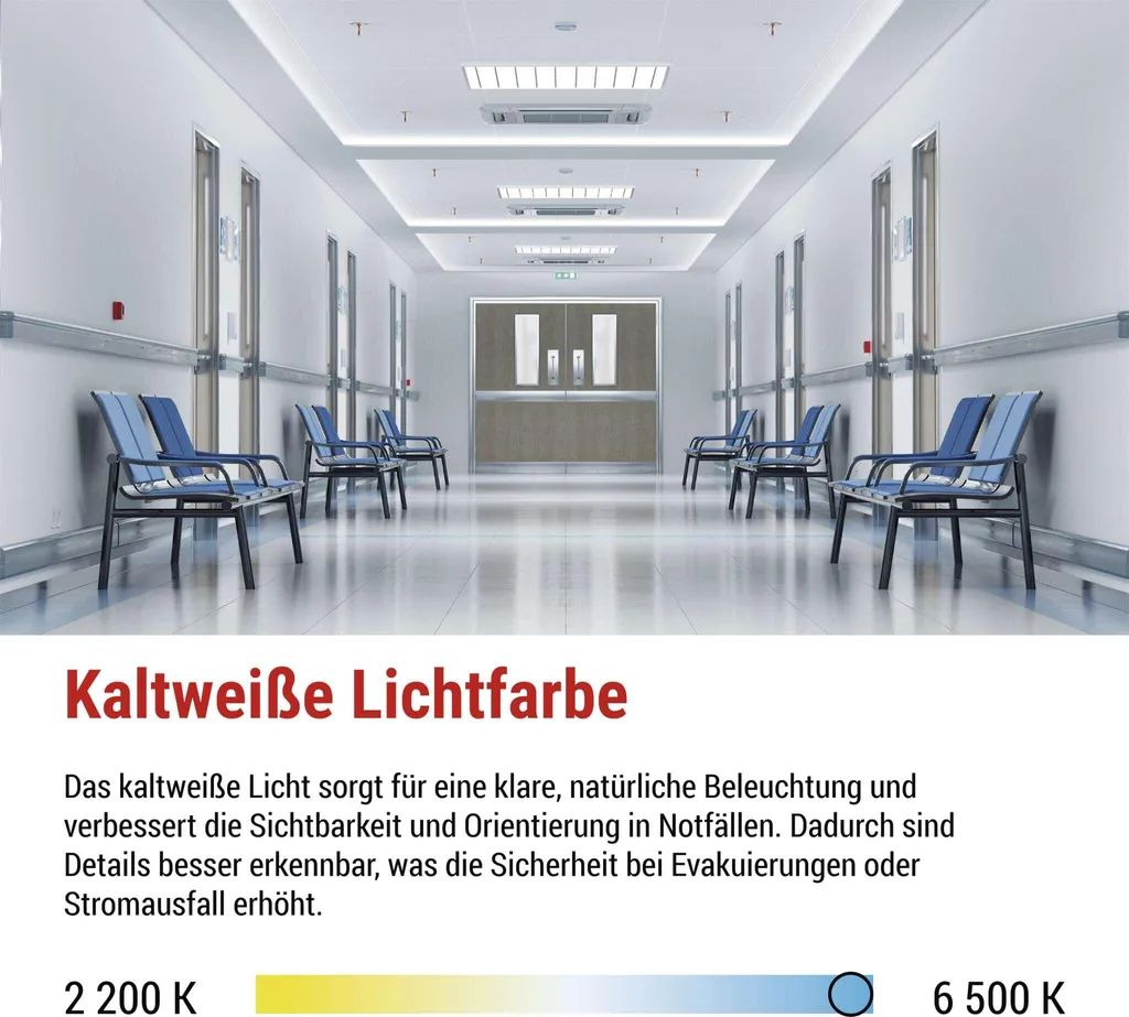 Éclairage de Secours LED EMOS NESSI : Sécurisez vos Évacuations 3h 3W