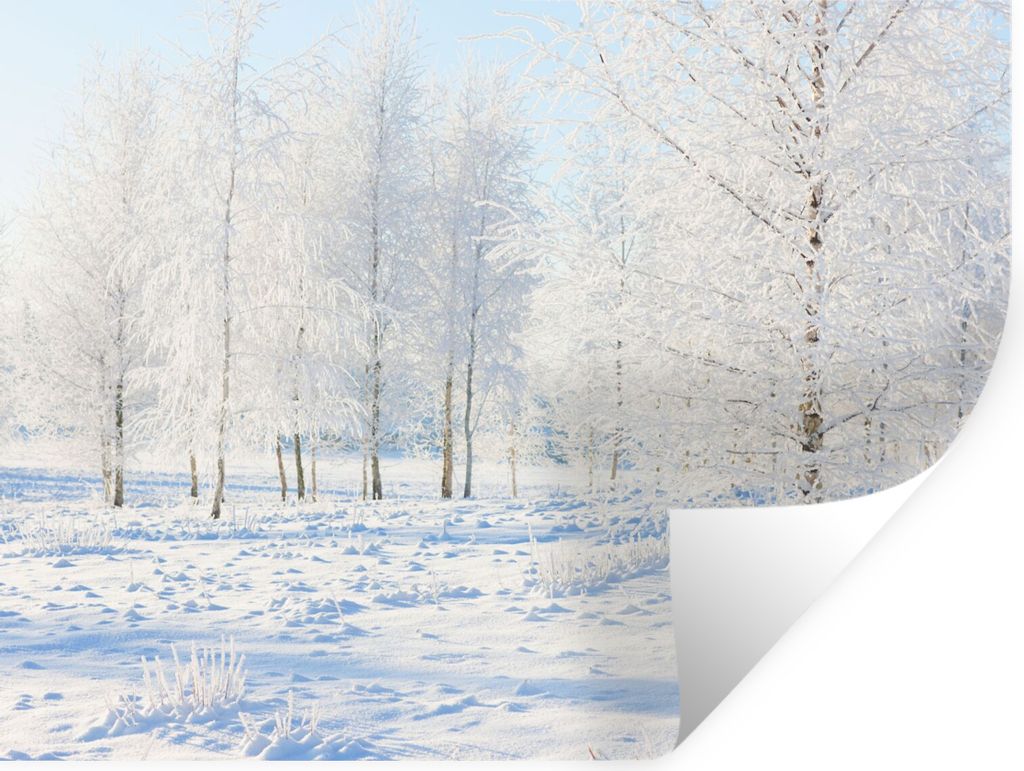 MuchoWow Wandtattoo Wandsticker Wandaufkleber Schnee - Bäume - Winter 120x90 cm Selbstklebend und Repositionierbar - Aufkleber