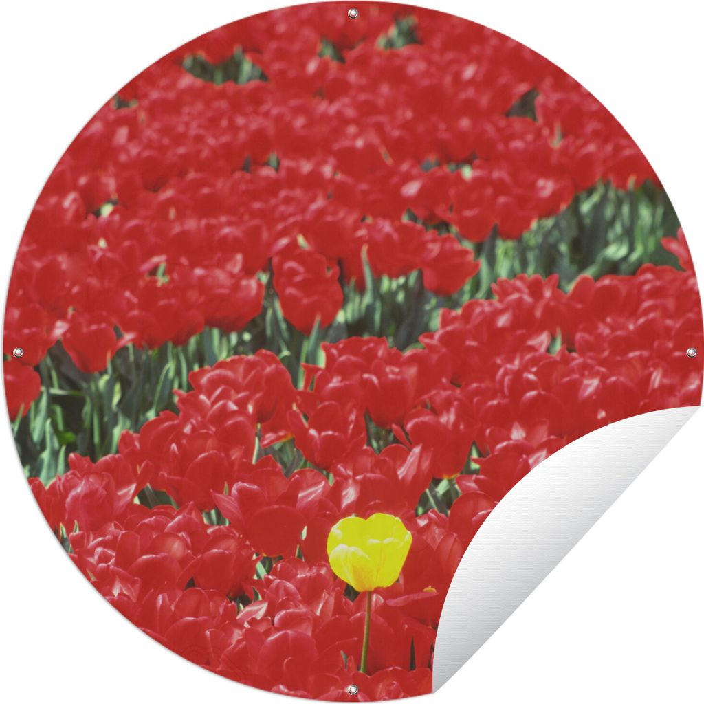 MuchoWow Gartenposter Outdoor-Poster Rund Ein Feld voller roter Tulpen in den Niederlanden Ø 60 cm Gartendeko Rundes Poster draußen