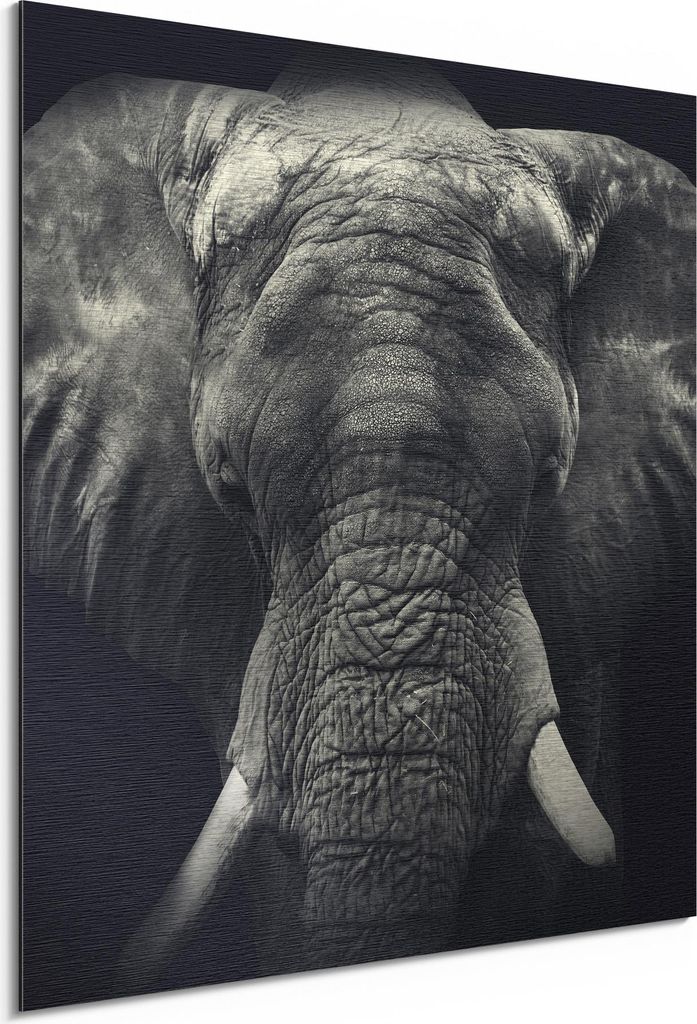 DEQORI Alu-Dibond Bild Silber 30x30 cm 'Der graue Gigant' Wandbild Metall dünn Design