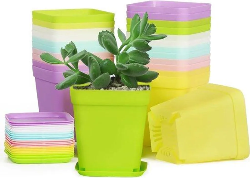 Mini pots pour succulentes et cactus 7cm avec soucoupes - Set de 6
