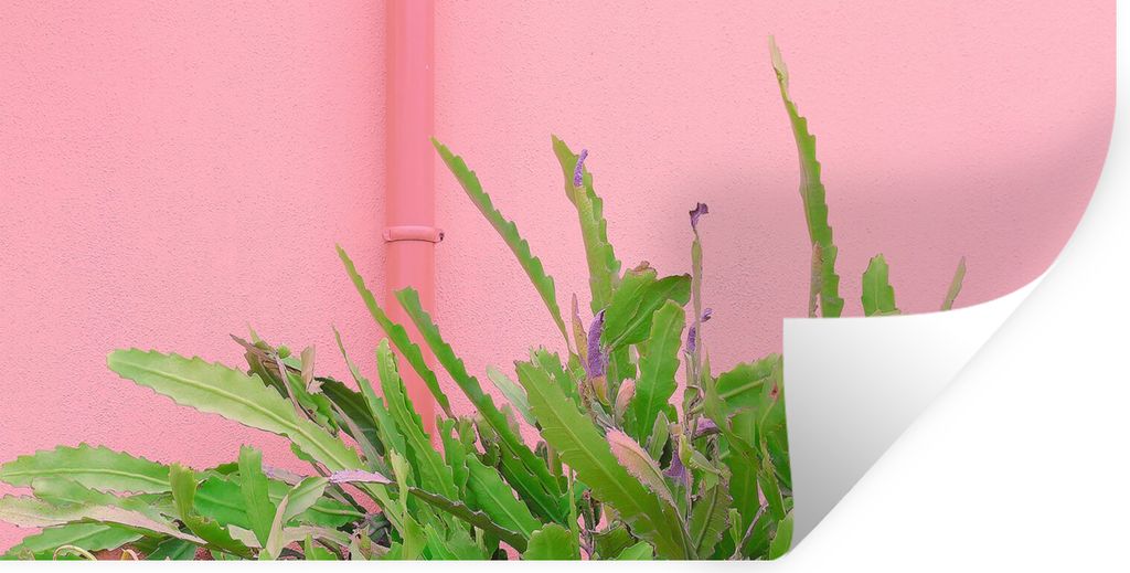 MuchoWow Wandtattoo Wandsticker Wandaufkleber Pflanze - Sommer - Rosa 80x40 cm Selbstklebend und Repositionierbar - Aufkleber
