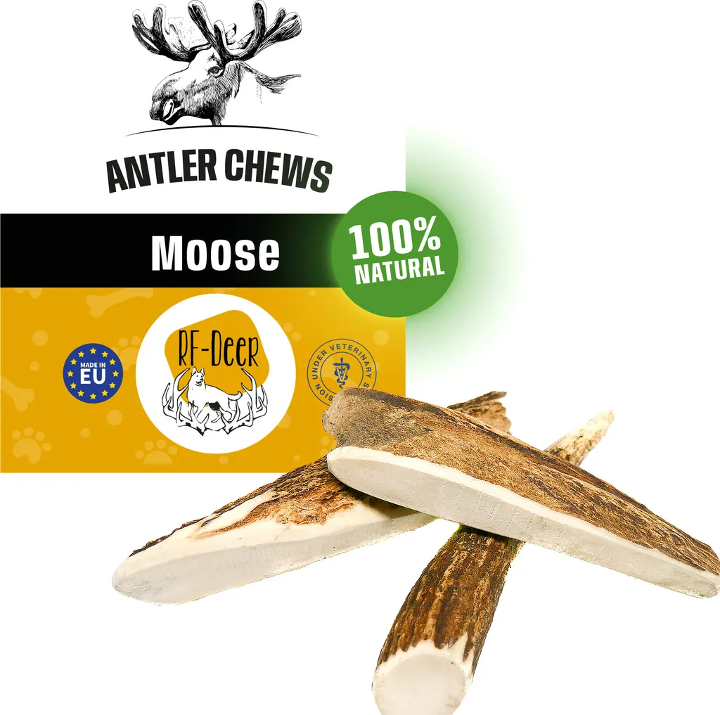 RF-DEER Corno di Cervo XL 120-180g: Masticativo Naturale per Cani